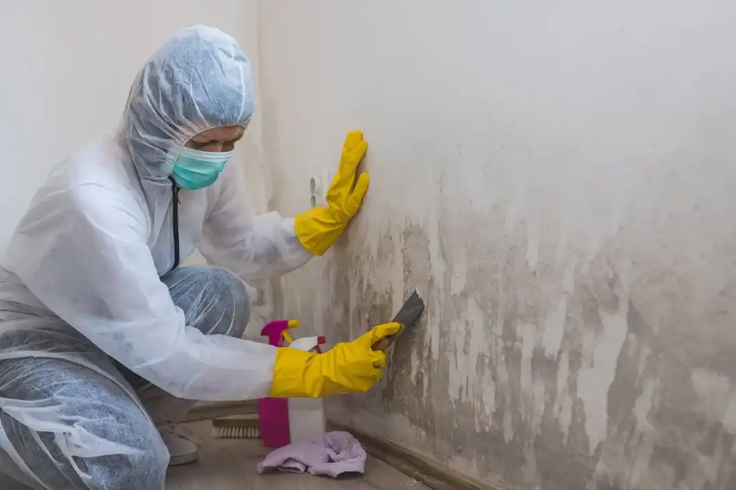 water damage restoration service Piney Woods